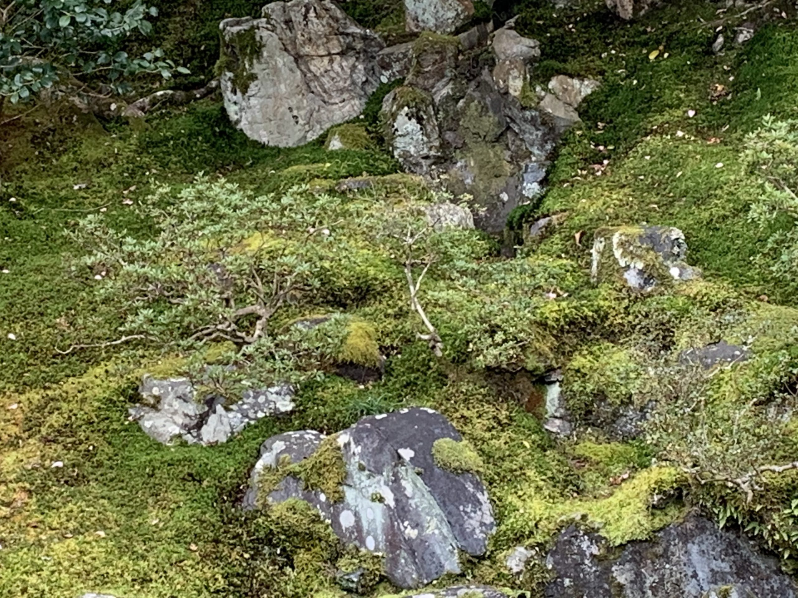岩