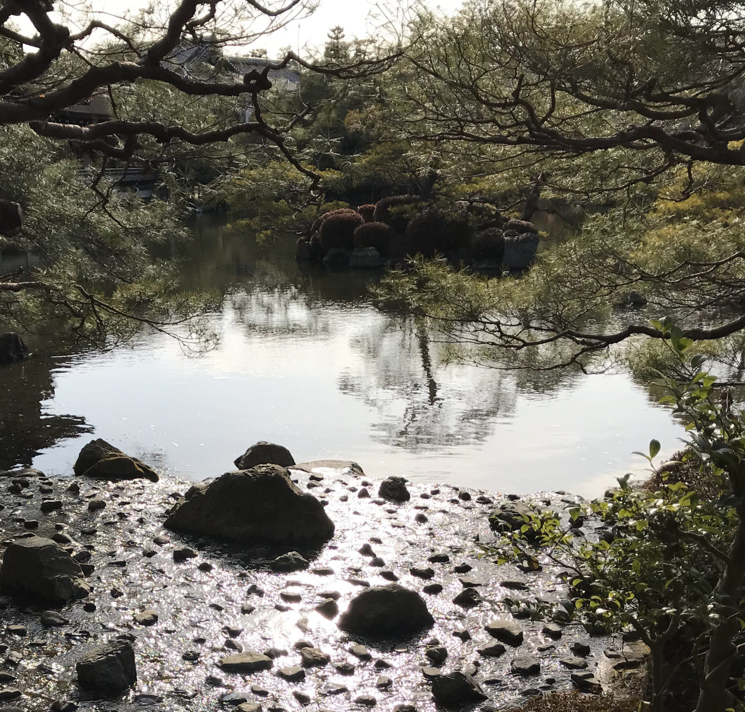 池