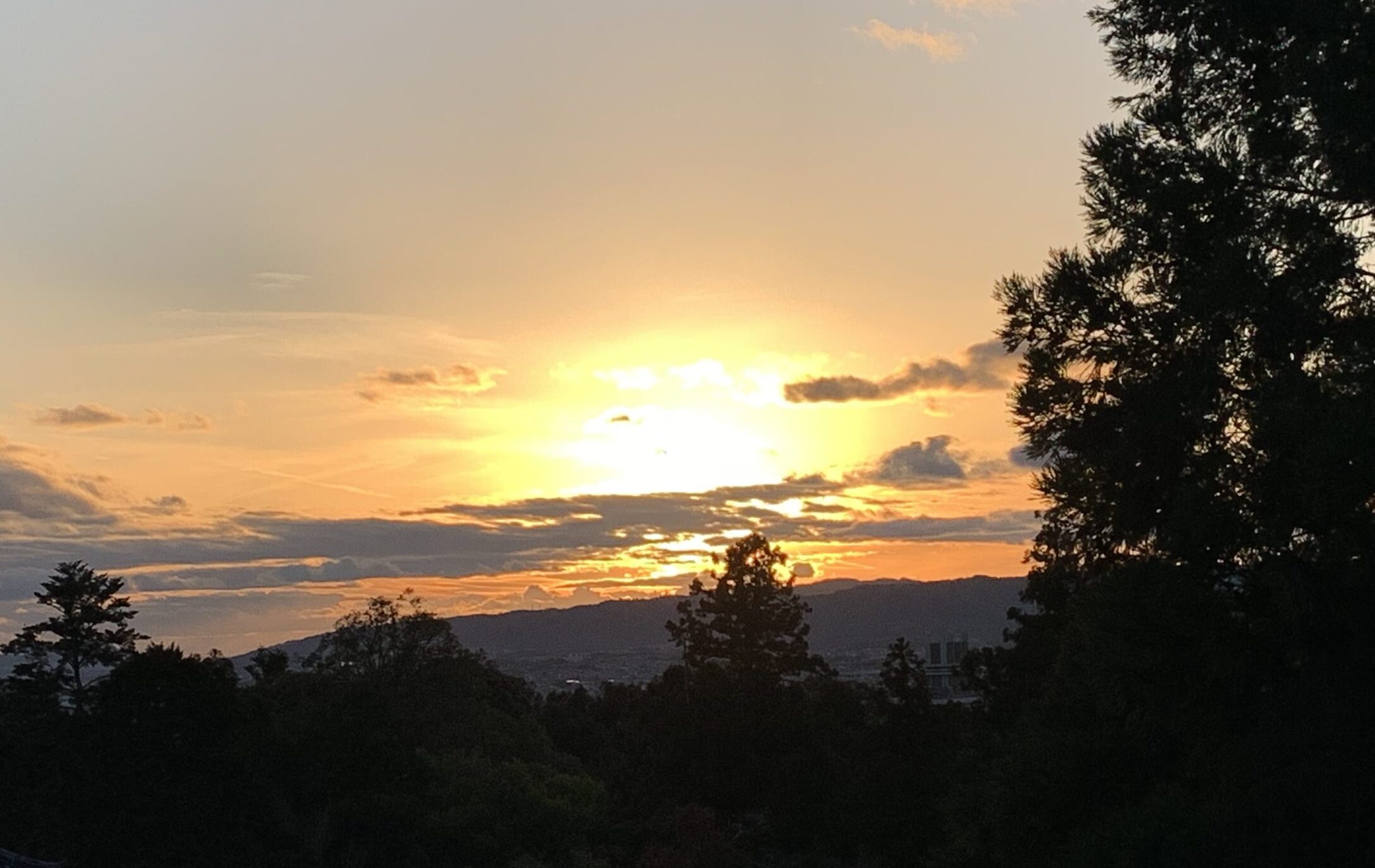 夕日