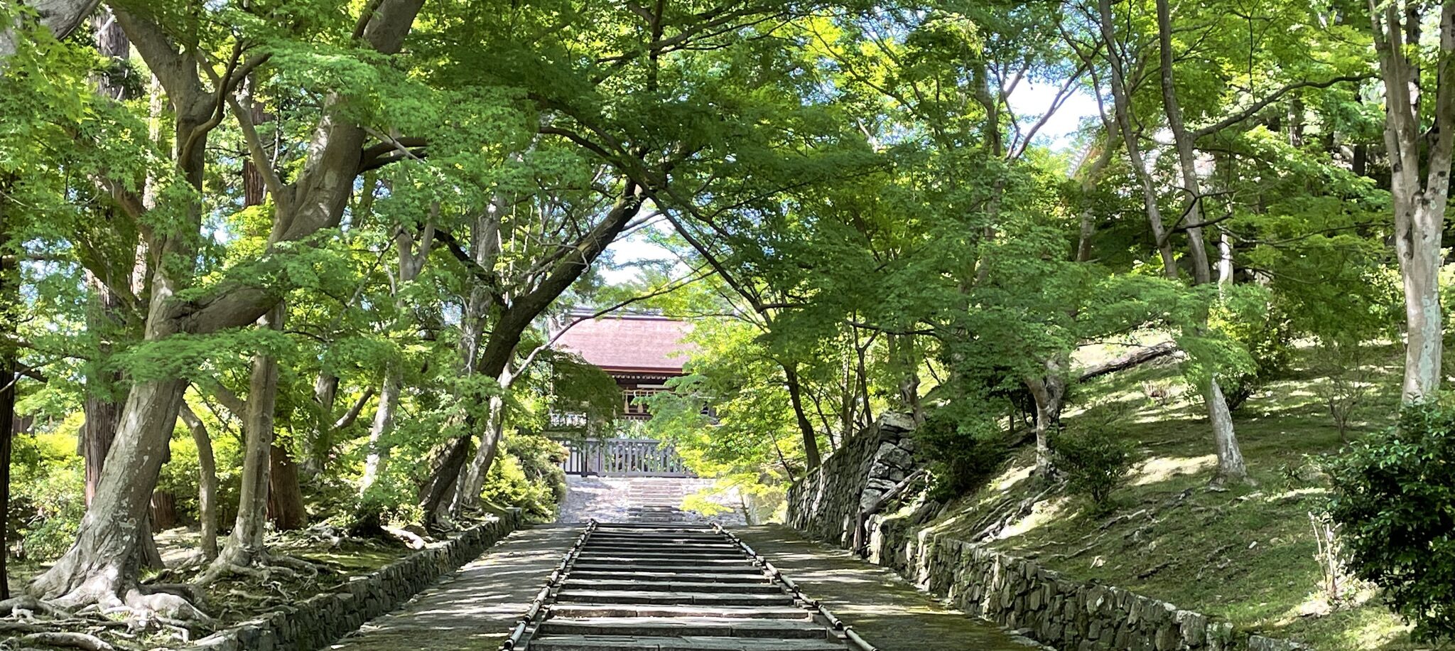 新緑